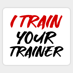 I train your trainer Sticker